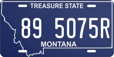 MT license plate 895075R