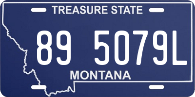 MT license plate 895079L
