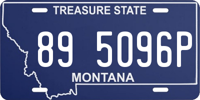 MT license plate 895096P