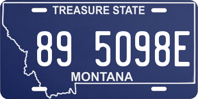 MT license plate 895098E