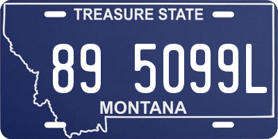 MT license plate 895099L