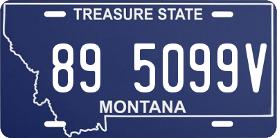 MT license plate 895099V