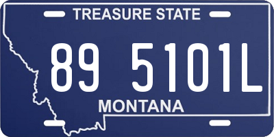 MT license plate 895101L