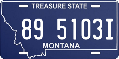 MT license plate 895103I