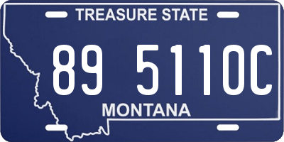 MT license plate 895110C
