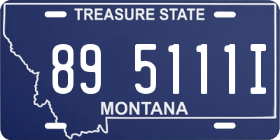 MT license plate 895111I