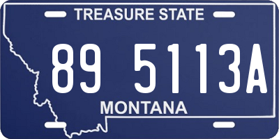 MT license plate 895113A