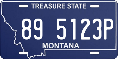 MT license plate 895123P
