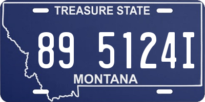MT license plate 895124I