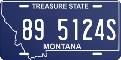 MT license plate 895124S