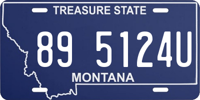 MT license plate 895124U