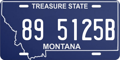 MT license plate 895125B