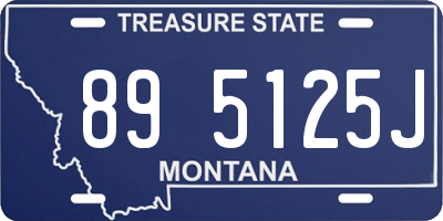 MT license plate 895125J