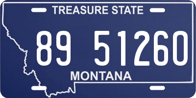 MT license plate 895126O