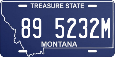MT license plate 895232M