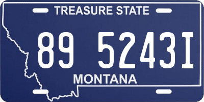 MT license plate 895243I