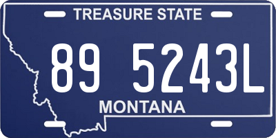 MT license plate 895243L