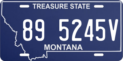MT license plate 895245V
