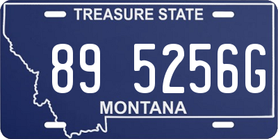MT license plate 895256G