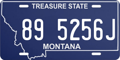 MT license plate 895256J