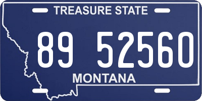 MT license plate 895256O