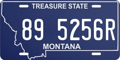MT license plate 895256R