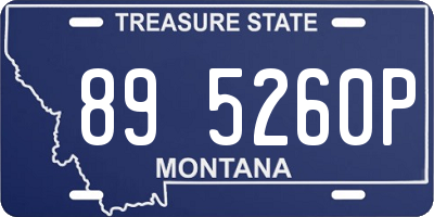 MT license plate 895260P