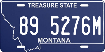 MT license plate 895276M