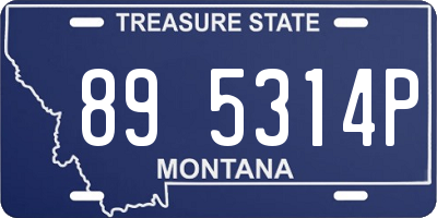 MT license plate 895314P