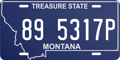 MT license plate 895317P