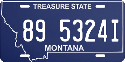 MT license plate 895324I