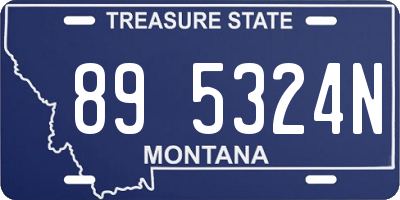 MT license plate 895324N