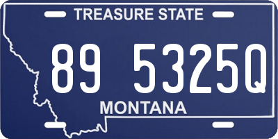 MT license plate 895325Q
