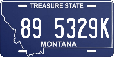 MT license plate 895329K