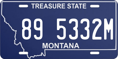 MT license plate 895332M