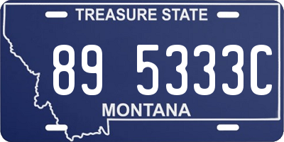 MT license plate 895333C