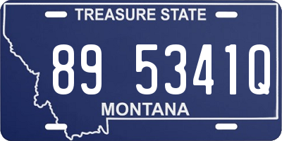 MT license plate 895341Q