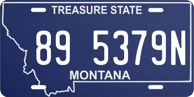 MT license plate 895379N