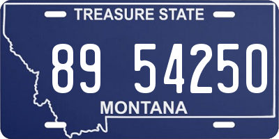 MT license plate 895425O