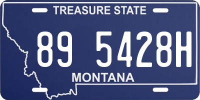 MT license plate 895428H