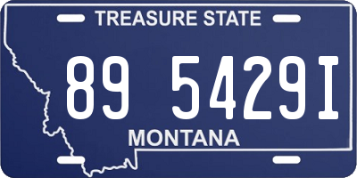 MT license plate 895429I