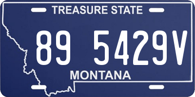 MT license plate 895429V
