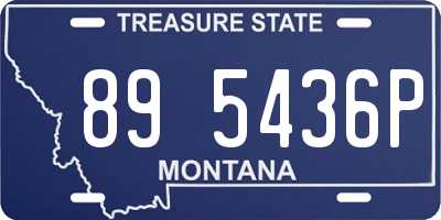 MT license plate 895436P