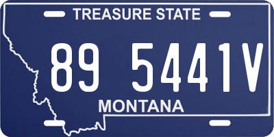 MT license plate 895441V