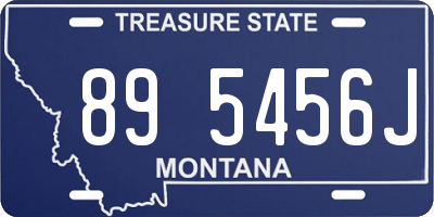 MT license plate 895456J