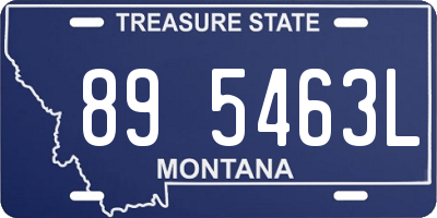 MT license plate 895463L