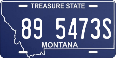MT license plate 895473S