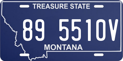 MT license plate 895510V