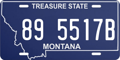 MT license plate 895517B