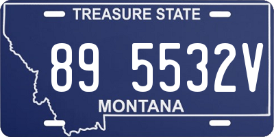 MT license plate 895532V